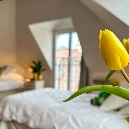 Chateau Le Bas Bleu, Maisons D'hotes Pour 20 Pers Quesnoy-le-Montant