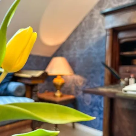 Chateau Le Bas Bleu, Maisons D'hotes Pour 20 Pers Holiday home