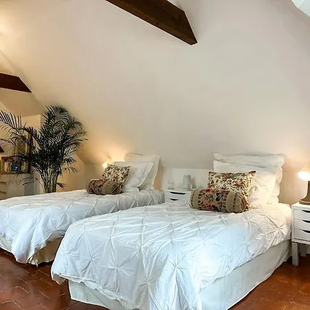 Chateau Le Bas Bleu, Maisons D'hotes Pour 20 Pers Holiday home